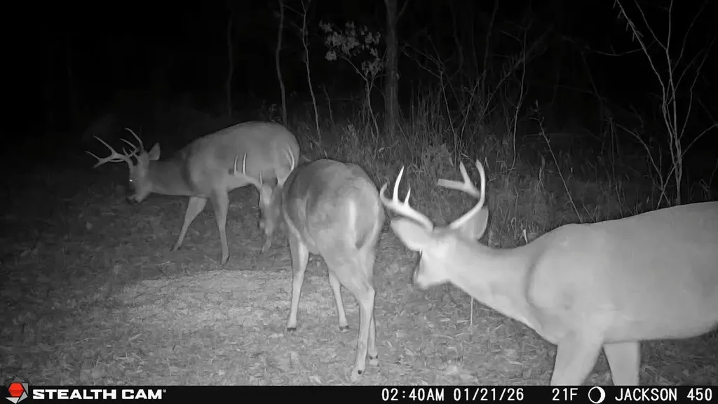 450 Ky Highway 542 Jackson KY 41339