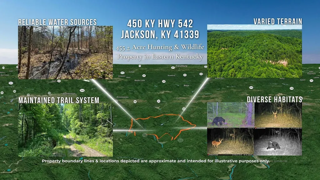 450 Ky Highway 542 Jackson KY 41339