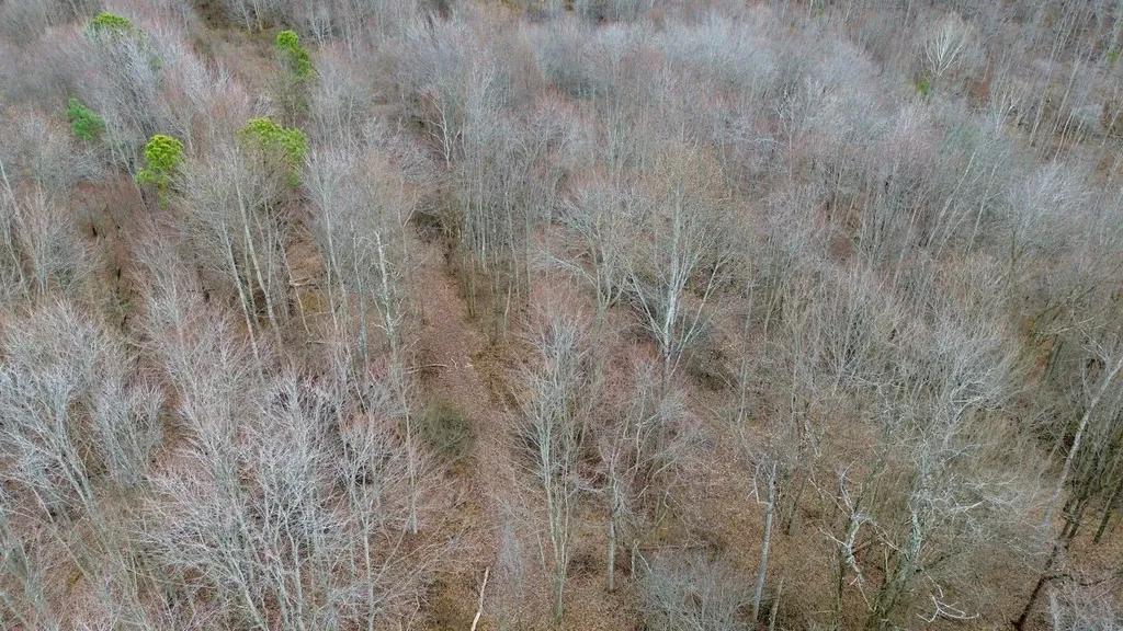450 Key Highway 542 Jackson KY 41339