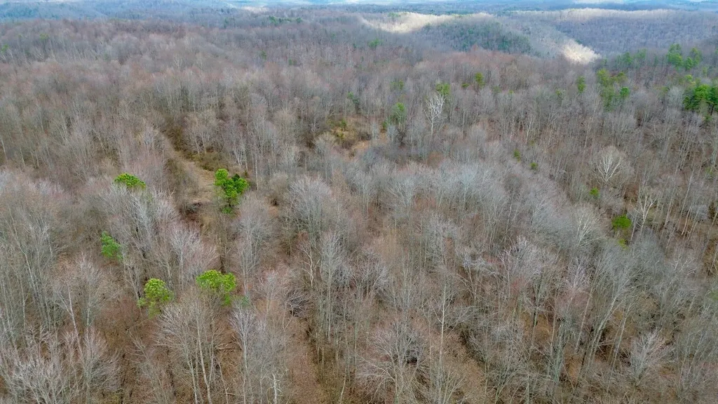 450 Key Highway 542 Jackson KY 41339