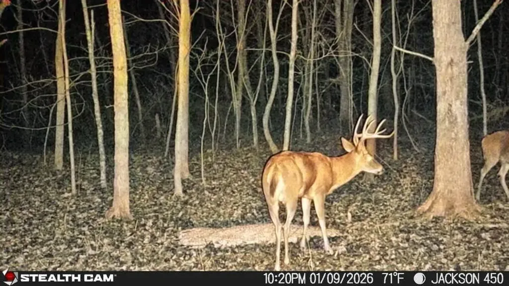 450 Ky Highway 542 Jackson KY 41339
