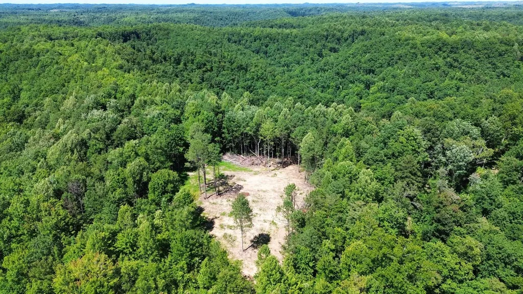 450 Ky Highway 542 Jackson KY 41339