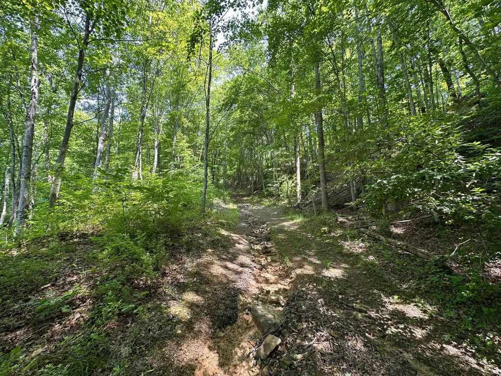 450 Key Highway 542 Jackson KY 41339