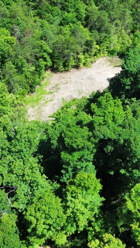 450 Ky Highway 542 Jackson KY 41339