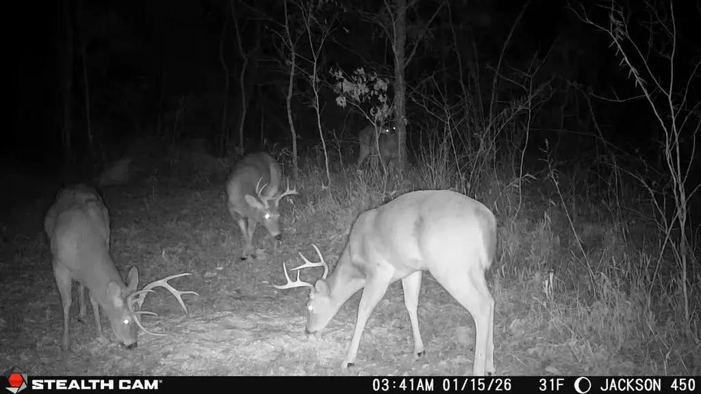 450 Ky Highway 542 Jackson KY 41339