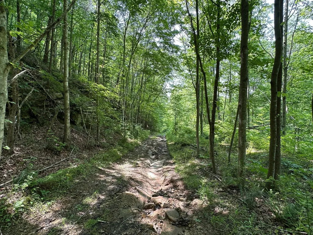450 Key Highway 542 Jackson KY 41339