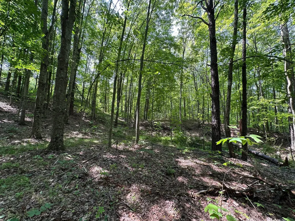 450 Key Highway 542 Jackson KY 41339