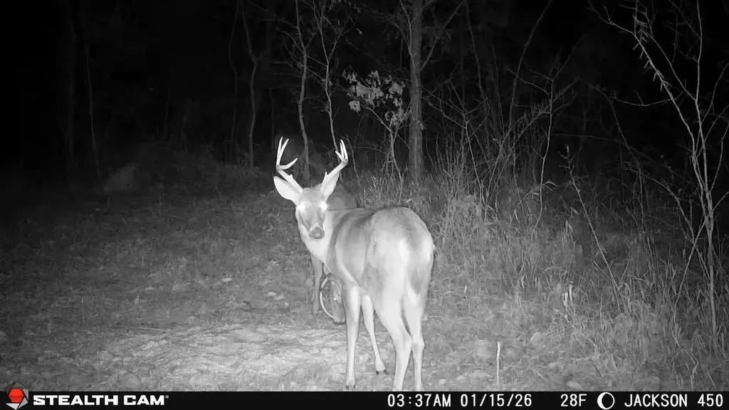 450 Ky Highway 542 Jackson KY 41339
