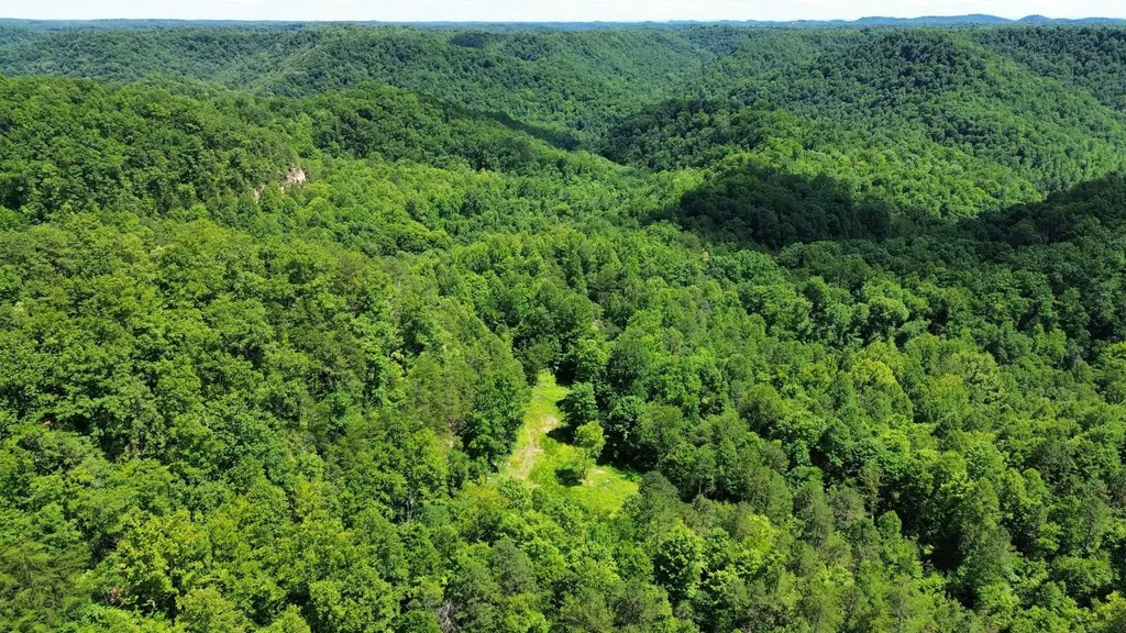 450 Ky Highway 542 Jackson KY 41339