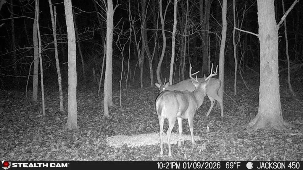 450 Ky Highway 542 Jackson KY 41339