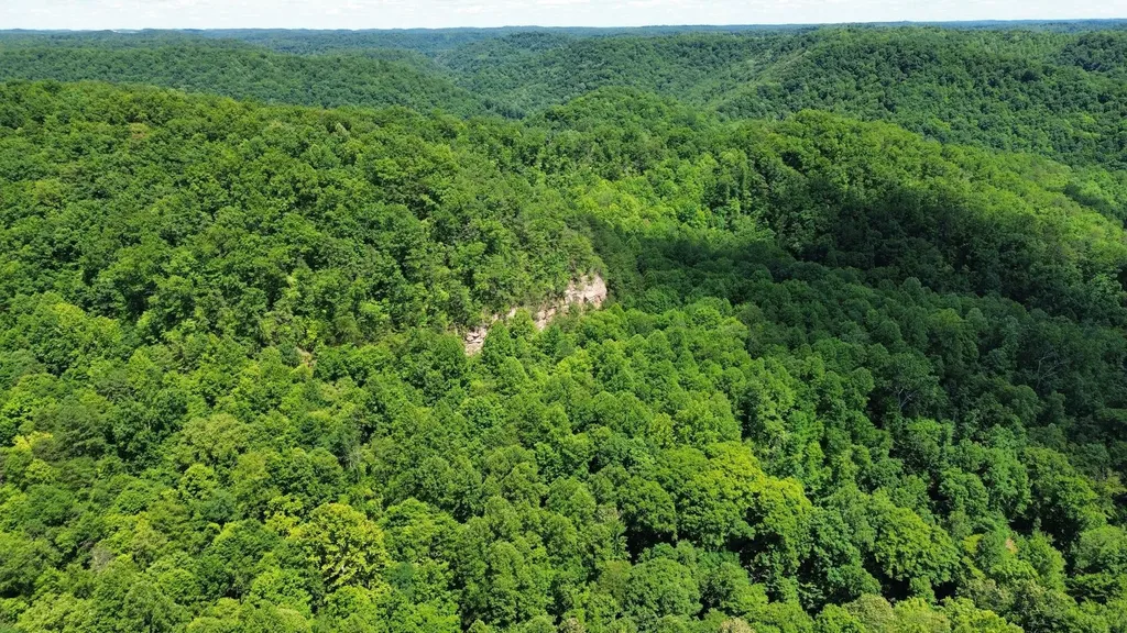 450 Ky Highway 542 Jackson KY 41339