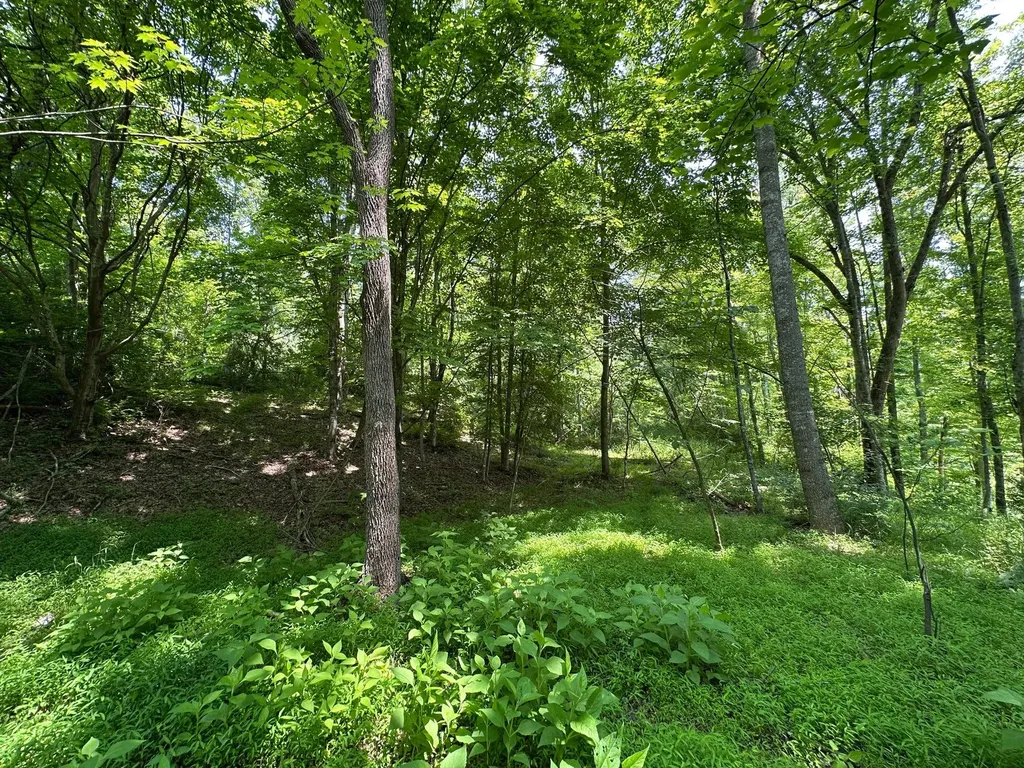 450 Key Highway 542 Jackson KY 41339