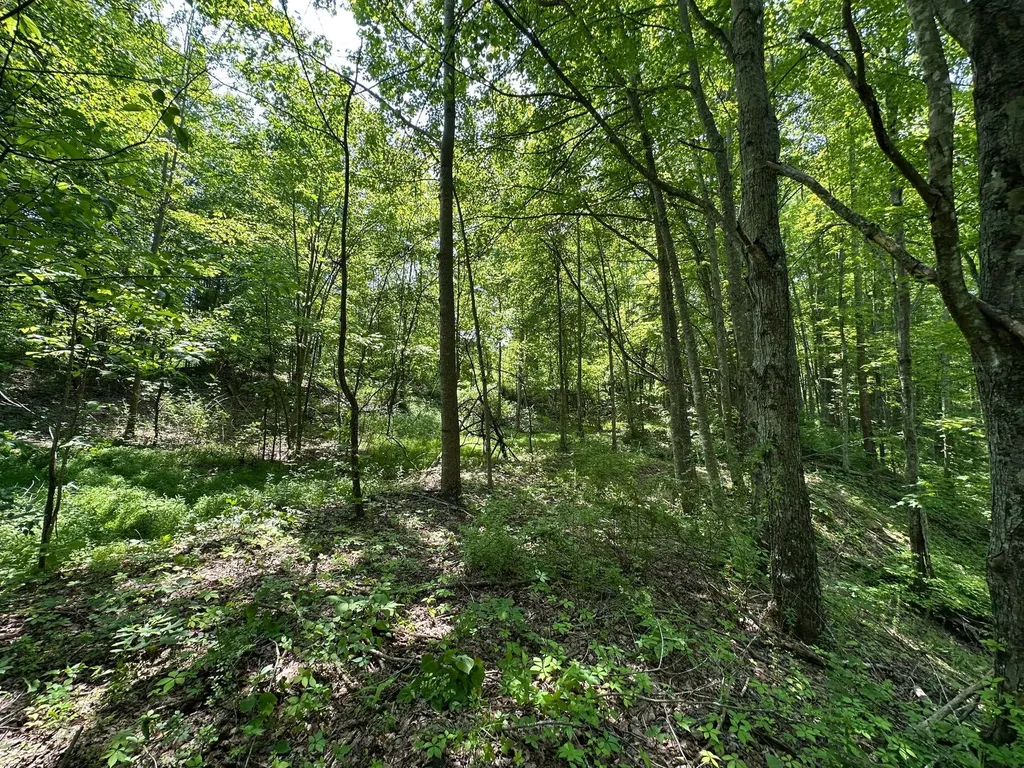 450 Key Highway 542 Jackson KY 41339