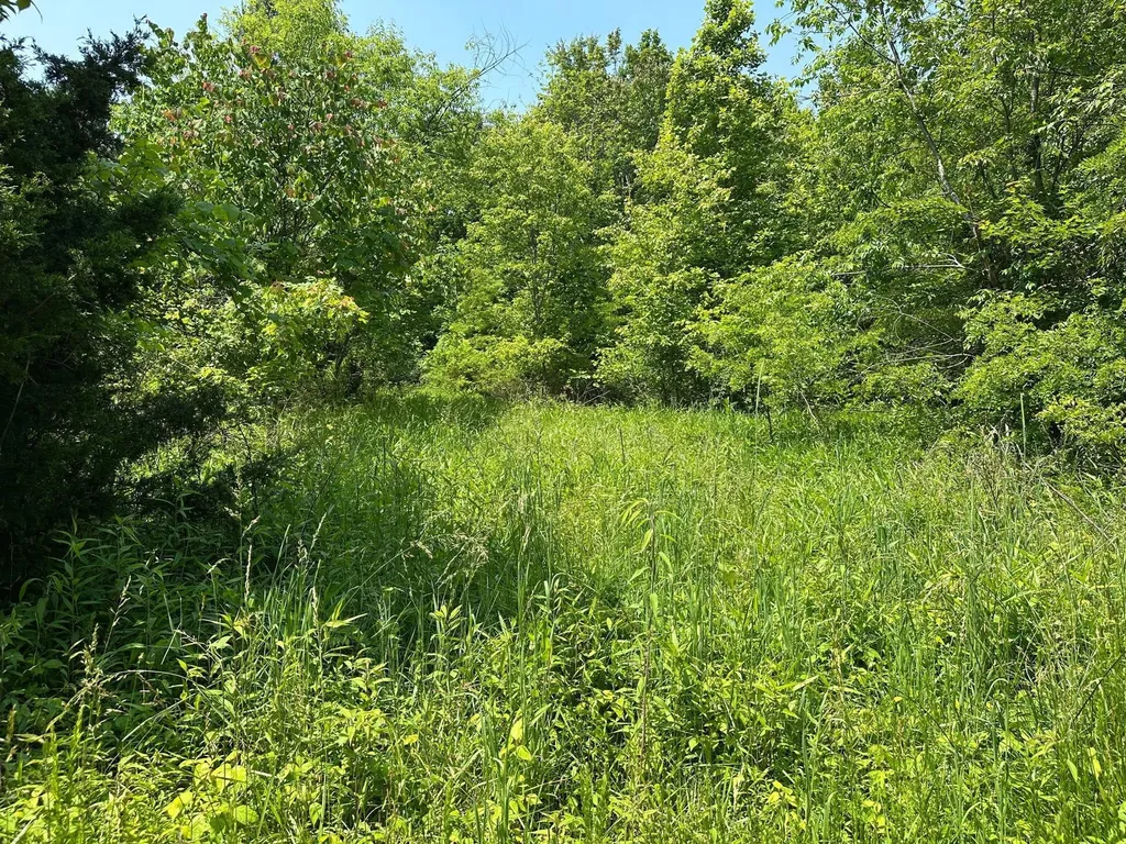 450 Key Highway 542 Jackson KY 41339