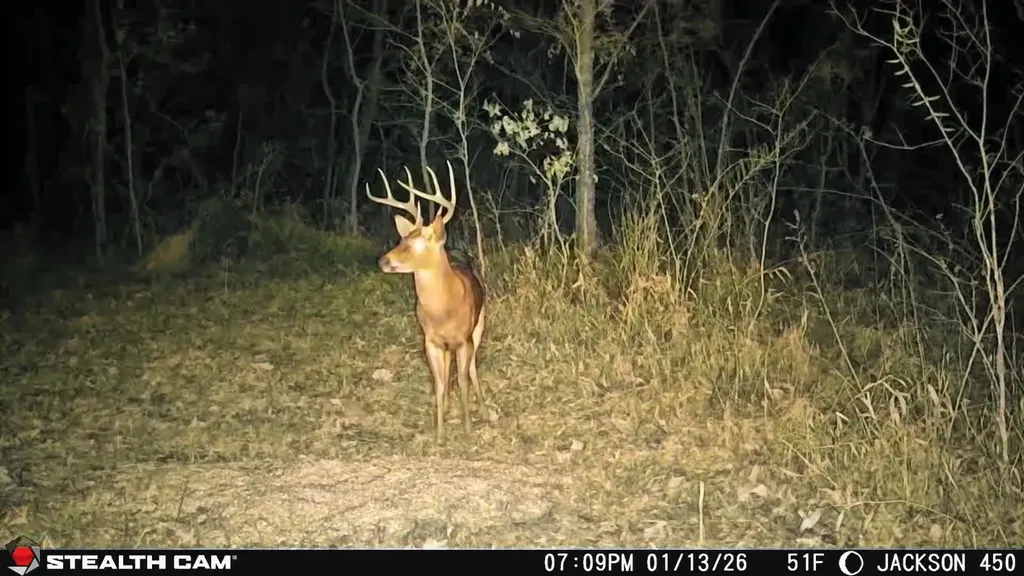 450 Ky Highway 542 Jackson KY 41339