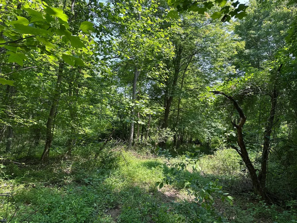 450 Key Highway 542 Jackson KY 41339