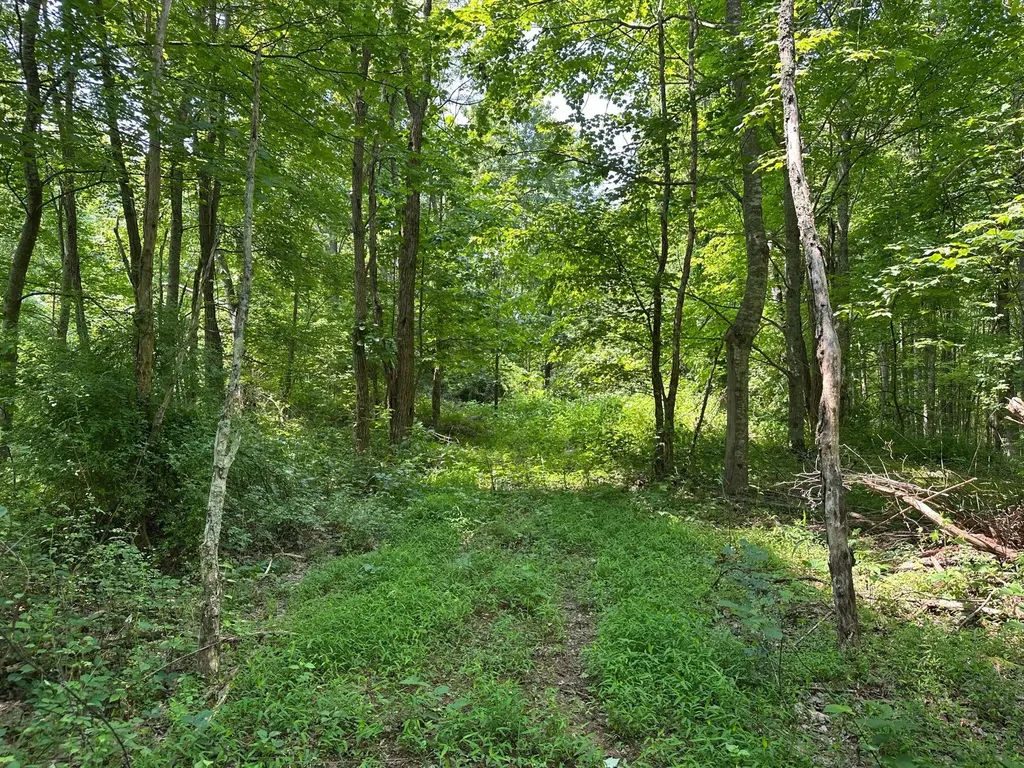 450 Key Highway 542 Jackson KY 41339