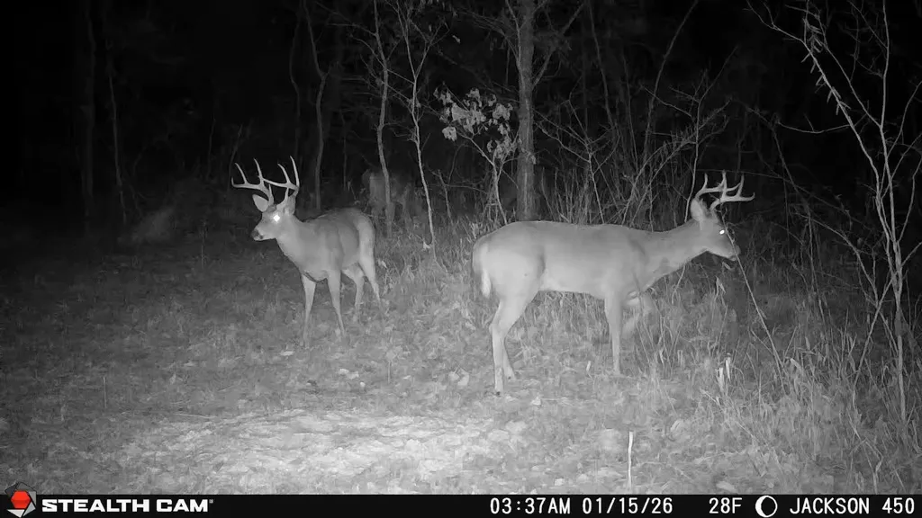 450 Ky Highway 542 Jackson KY 41339