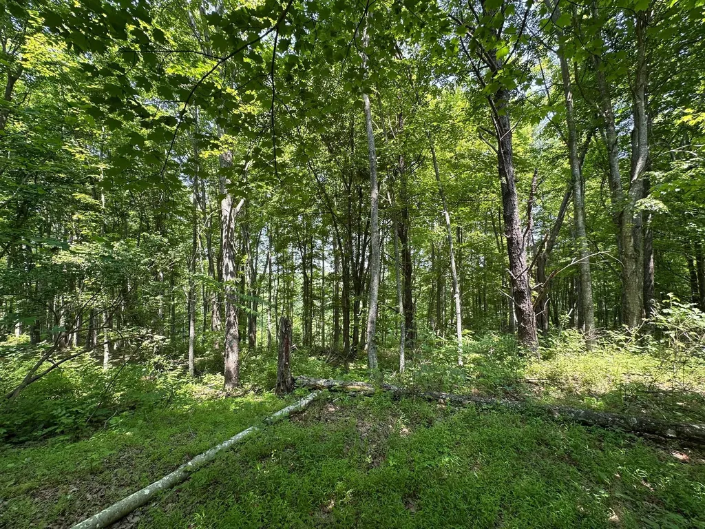 450 Key Highway 542 Jackson KY 41339