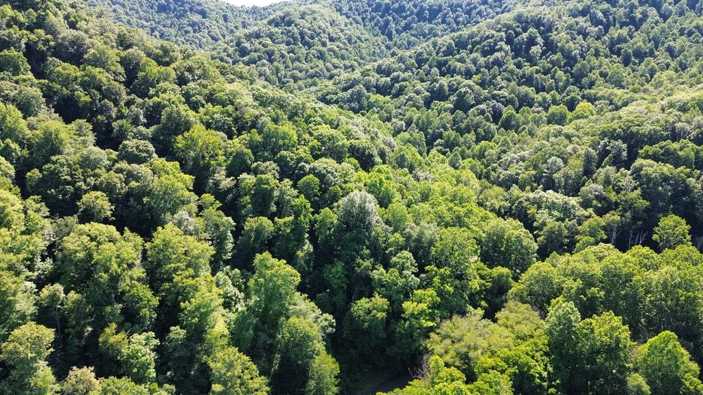 450 Ky Highway 542 Jackson KY 41339