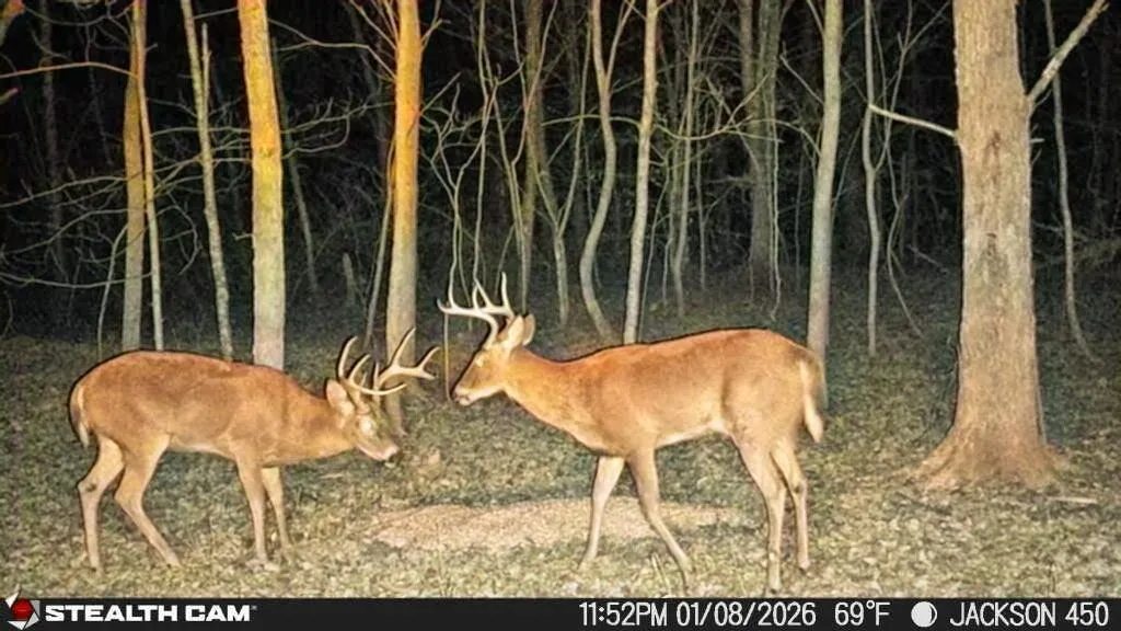 450 Ky Highway 542 Jackson KY 41339