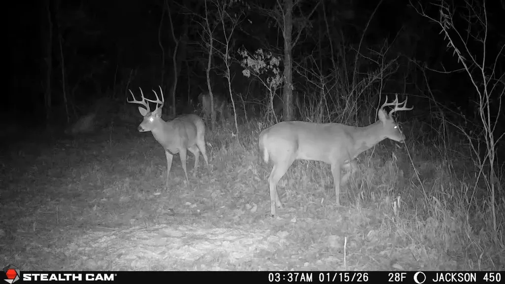 450 Ky Highway 542 Jackson KY 41339