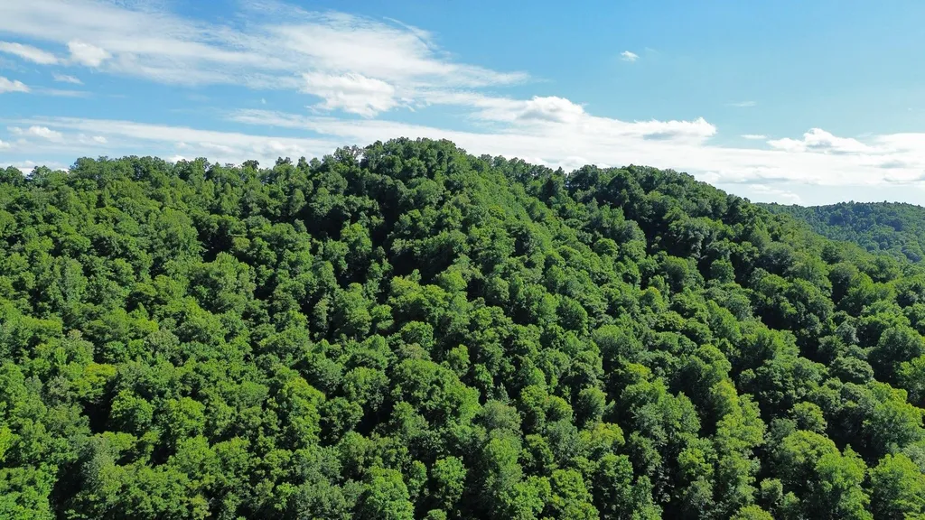 450 Ky Highway 542 Jackson KY 41339
