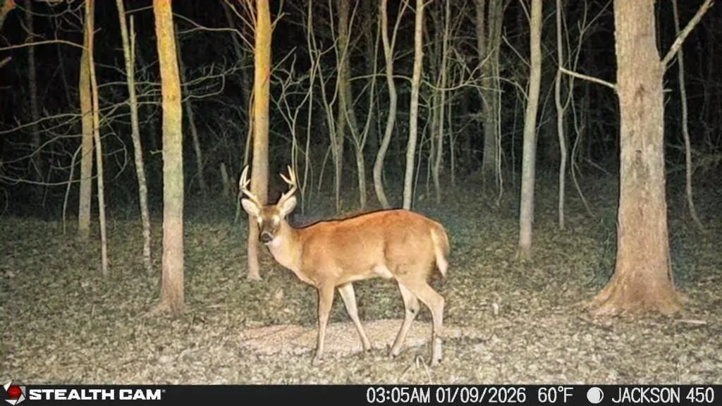 450 Ky Highway 542 Jackson KY 41339