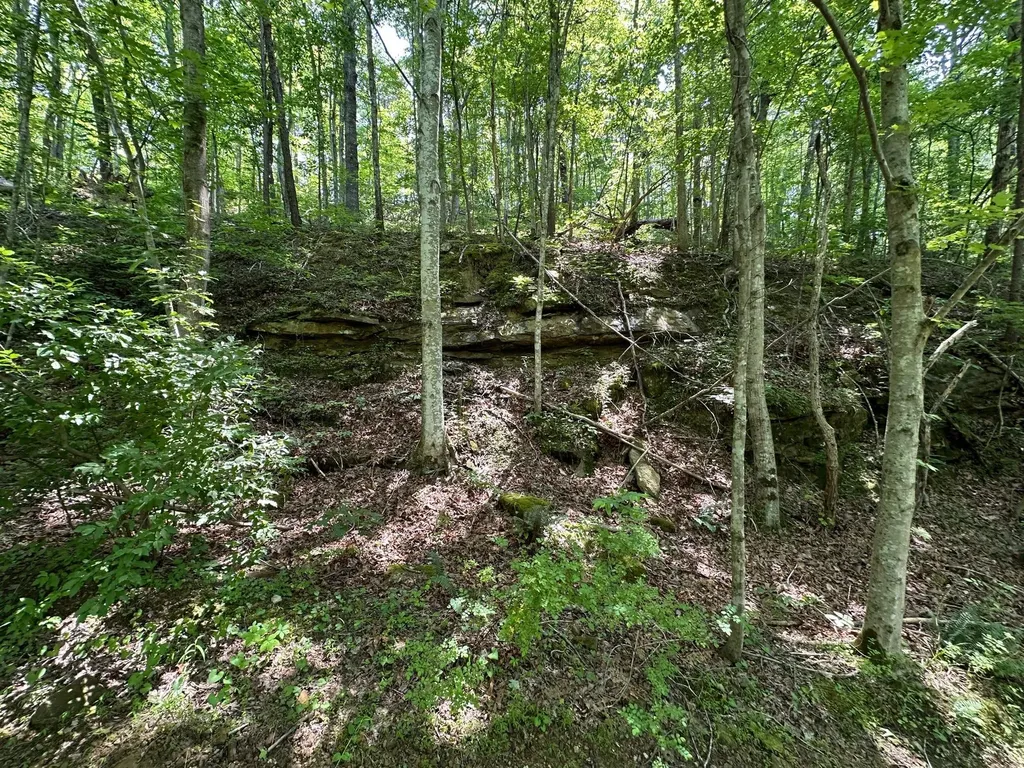 450 Key Highway 542 Jackson KY 41339
