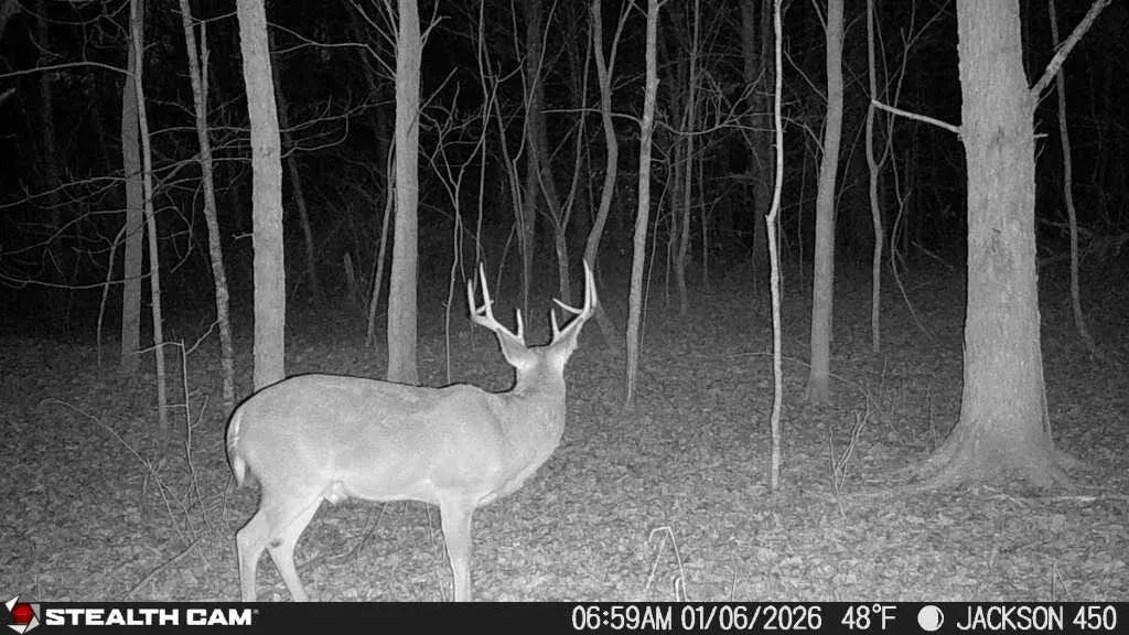 450 Ky Highway 542 Jackson KY 41339