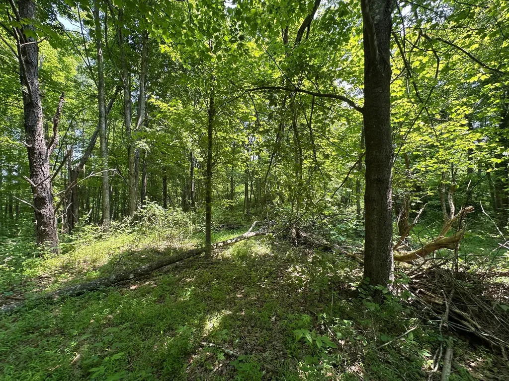 450 Key Highway 542 Jackson KY 41339