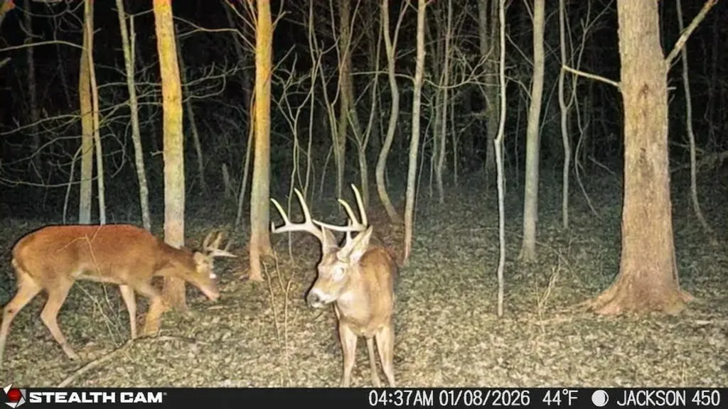 450 Ky Highway 542 Jackson KY 41339
