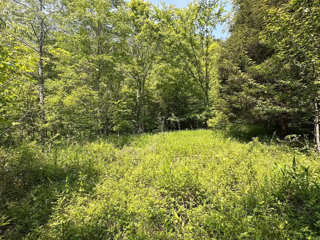 450 Key Highway 542 Jackson KY 41339