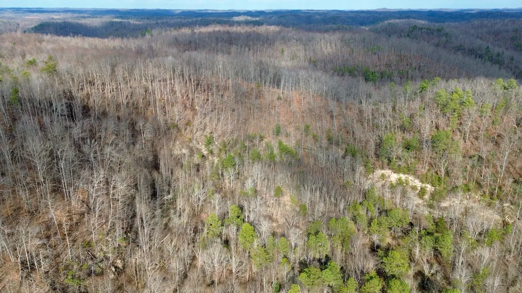 450 Ky Highway 542 Jackson KY 41339