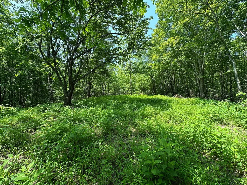 450 Ky Highway 542 Jackson KY 41339
