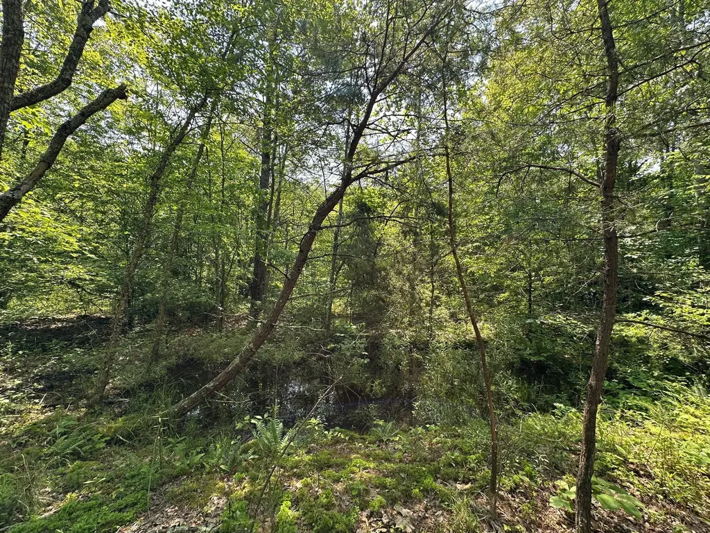 450 Key Highway 542 Jackson KY 41339