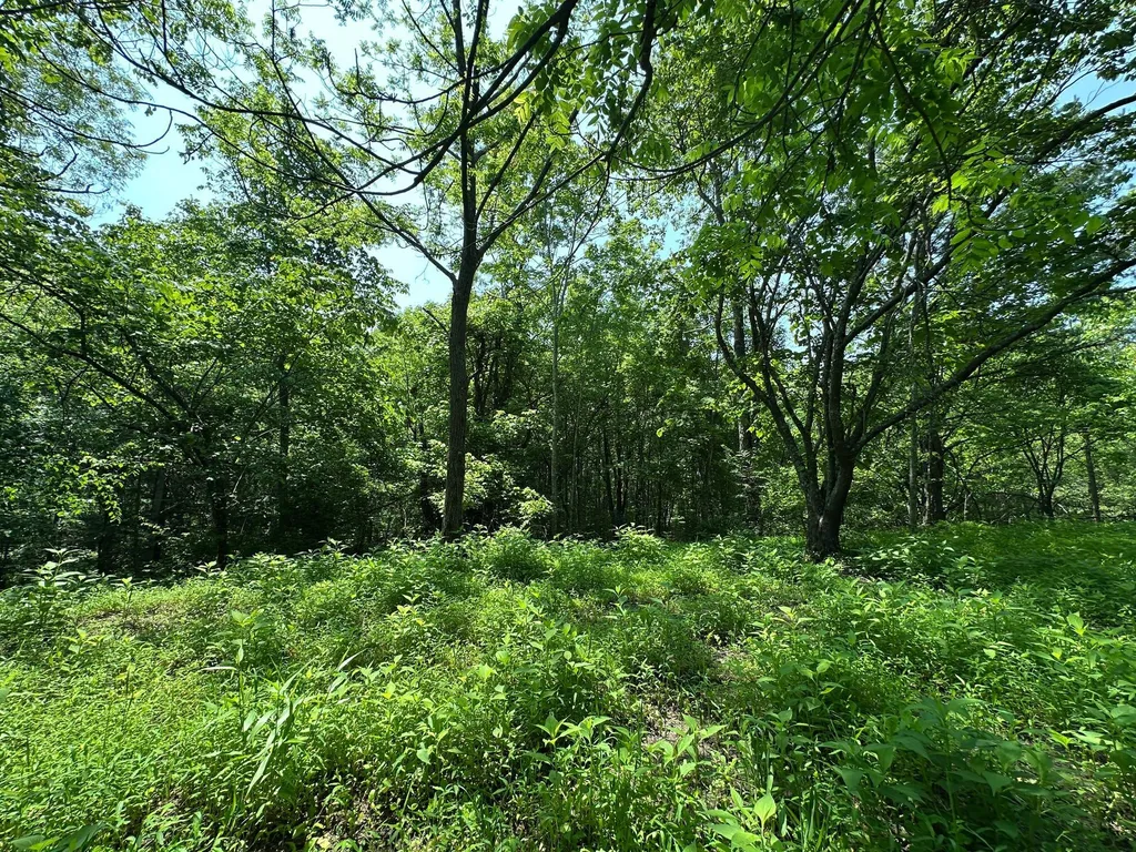 450 Ky Highway 542 Jackson KY 41339