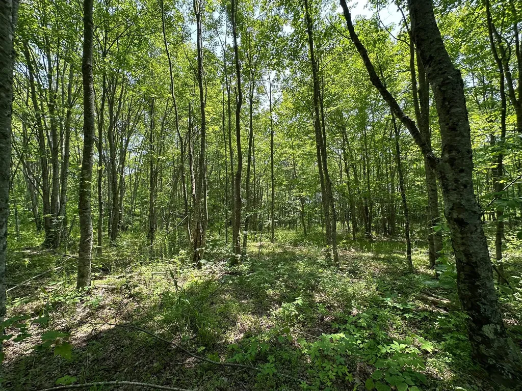 450 Key Highway 542 Jackson KY 41339