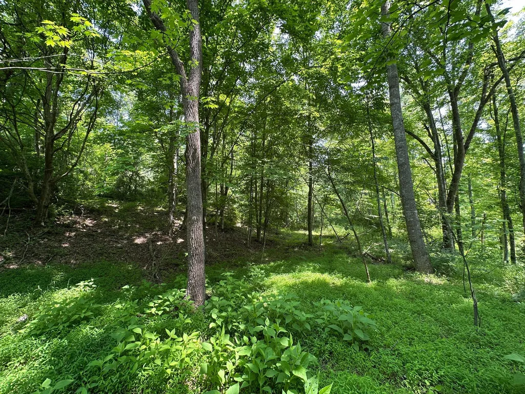 450 Ky Highway 542 Jackson KY 41339