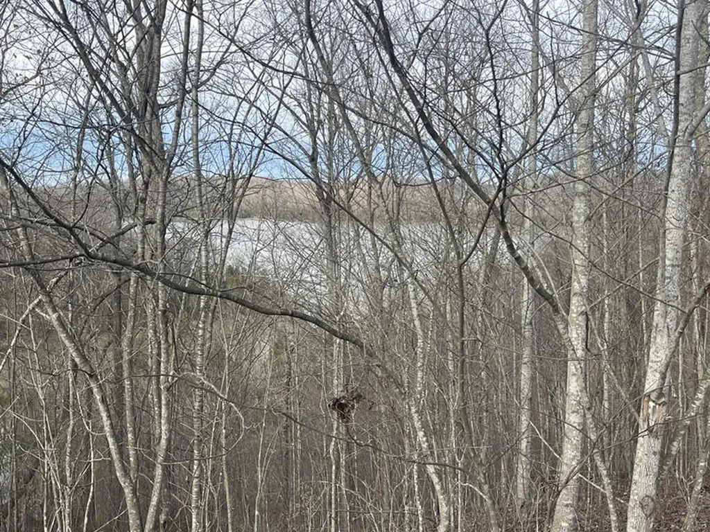 Lot 89 Cumberland Shores Monticello KY 42633