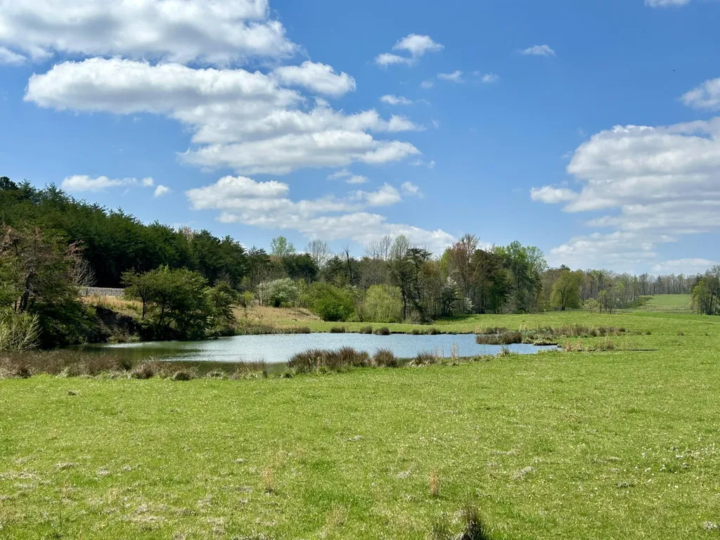 428 Dick Wilson Road Strunk KY 42649