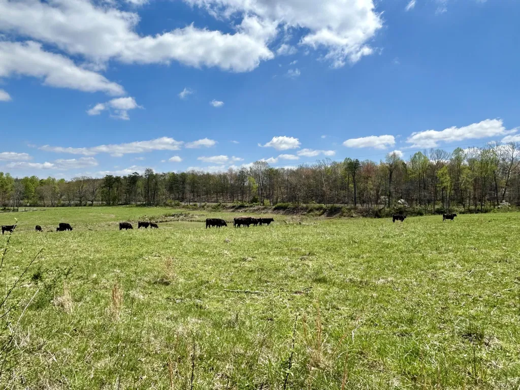 428 Dick Wilson Road Strunk KY 42649