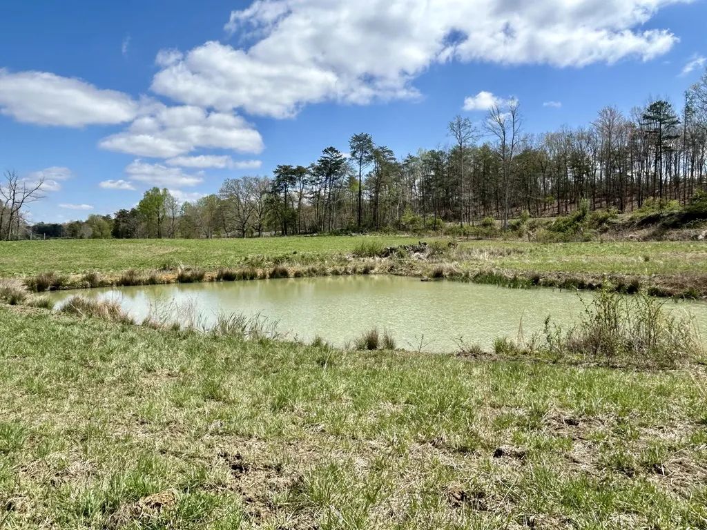 428 Dick Wilson Road Strunk KY 42649