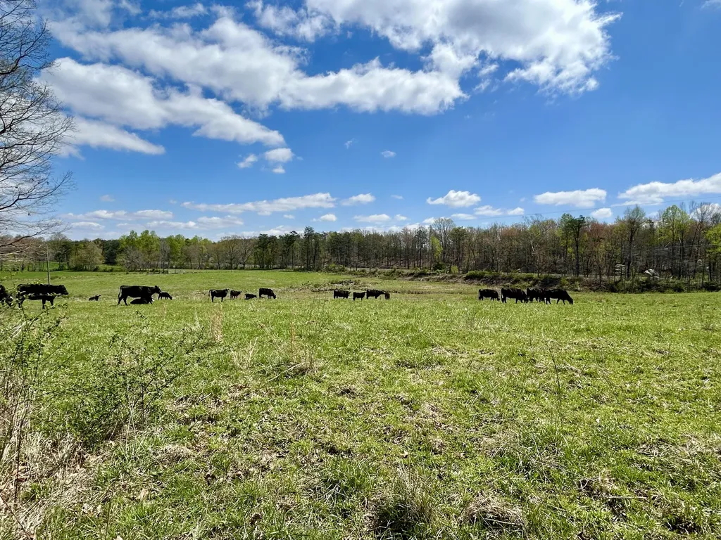 428 Dick Wilson Road Strunk KY 42649