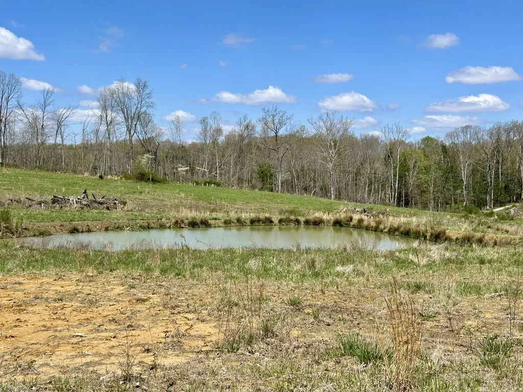 428 Dick Wilson Road Strunk KY 42649
