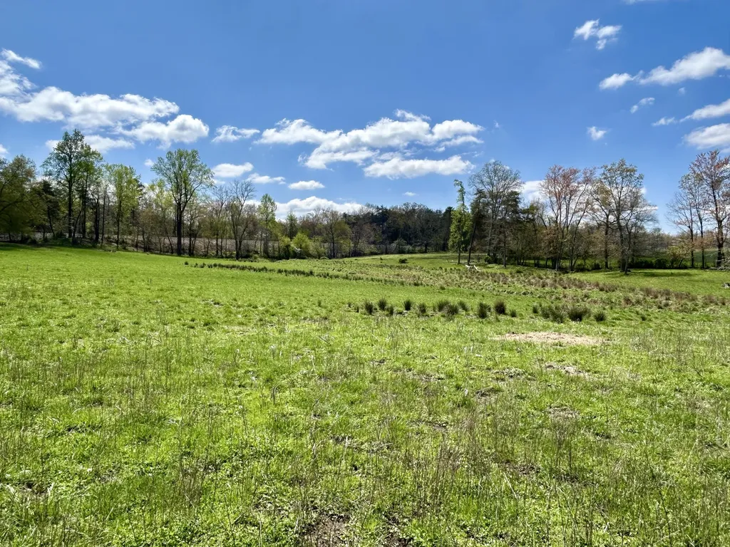 428 Dick Wilson Road Strunk KY 42649
