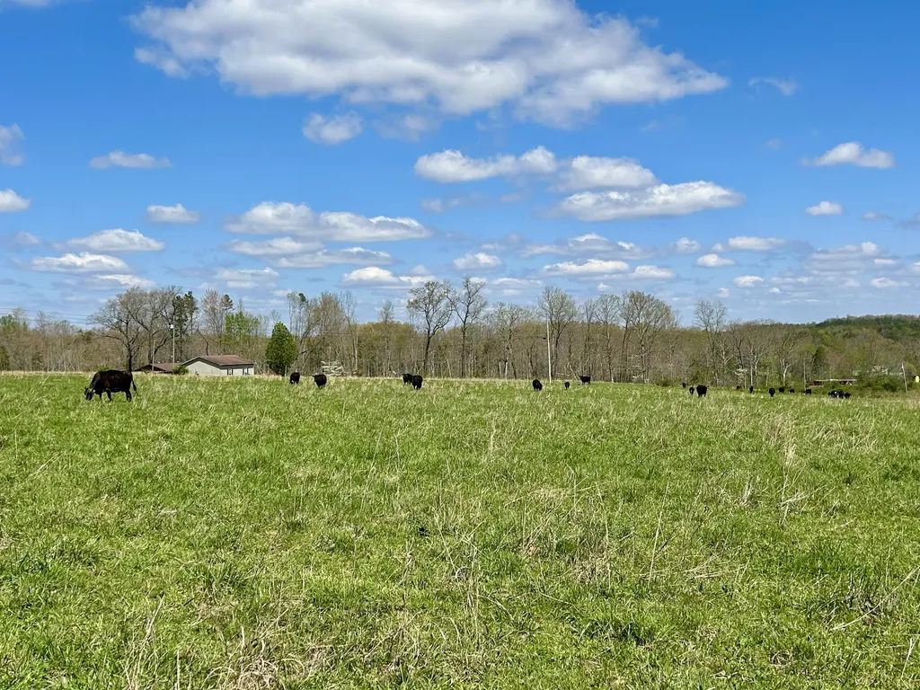 428 Dick Wilson Road Strunk KY 42649