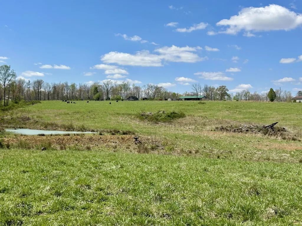 428 Dick Wilson Road Strunk KY 42649