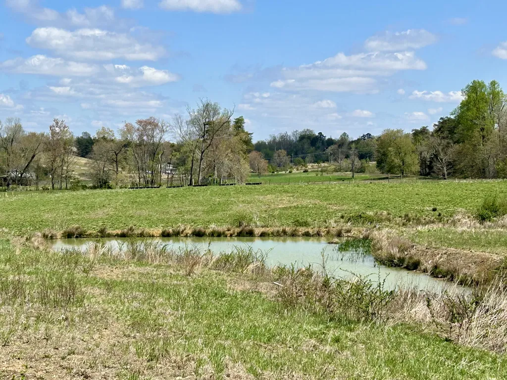 428 Dick Wilson Road Strunk KY 42649