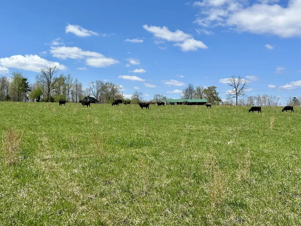 428 Dick Wilson Road Strunk KY 42649